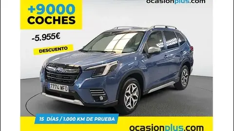 Annonce SUBARU FORESTER Hybride 2023 d'occasion 