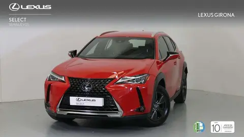 Annonce LEXUS UX Hybride 2023 d'occasion 