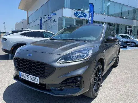 Annonce FORD KUGA Essence 2023 d'occasion 