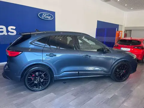 Annonce FORD KUGA Essence 2023 d'occasion 