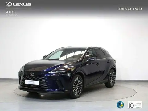 Annonce LEXUS RX Hybride 2024 d'occasion 