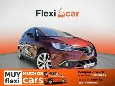 Used RENAULT SCENIC Diesel 2019 Ad 