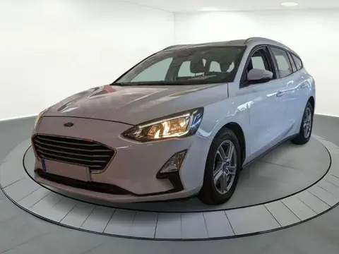 Used FORD FOCUS Diesel 2019 Ad 