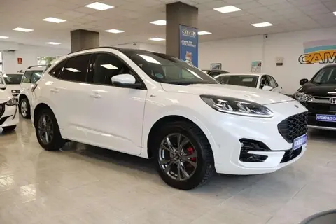 Annonce FORD KUGA Diesel 2021 d'occasion 