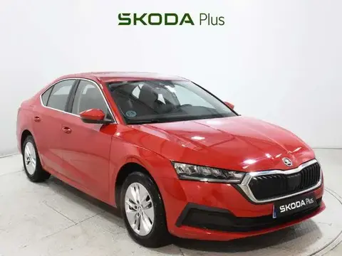 Used SKODA OCTAVIA Diesel 2023 Ad 