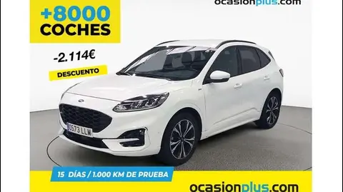 Used FORD KUGA Diesel 2020 Ad 