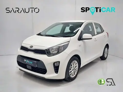 Annonce KIA PICANTO Essence 2021 d'occasion 