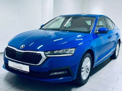 Annonce SKODA OCTAVIA Diesel 2020 d'occasion 