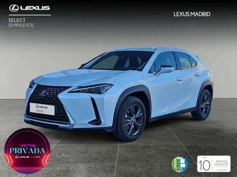 Annonce LEXUS UX Hybride 2020 d'occasion 