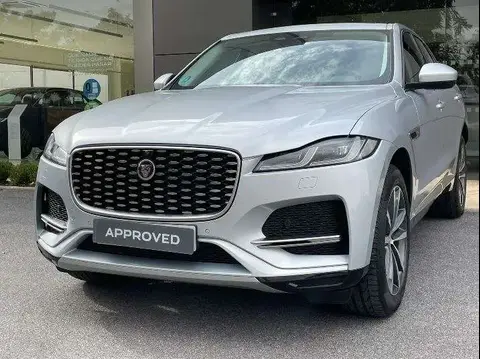 Used JAGUAR F-PACE Diesel 2021 Ad 