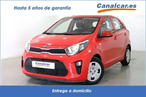 Annonce KIA PICANTO Essence 2020 d'occasion 