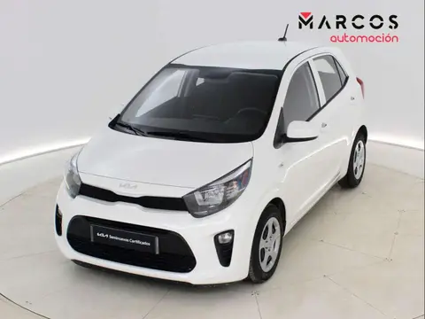 Annonce KIA PICANTO Essence 2023 d'occasion 