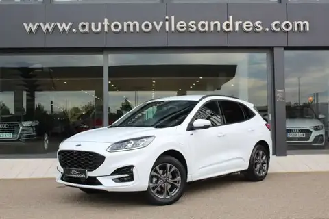 Used FORD KUGA Hybrid 2024 Ad 