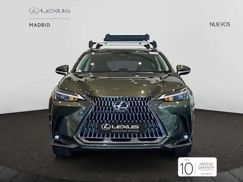 Used LEXUS NX Hybrid 2024 Ad 