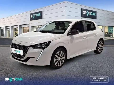 Used PEUGEOT 208 Petrol 2023 Ad 