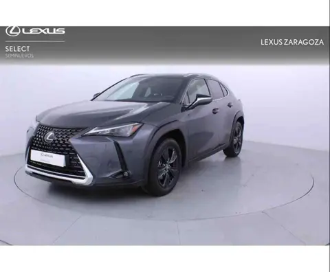 Used LEXUS UX  2023 Ad 