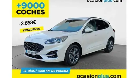 Used FORD KUGA Hybrid 2023 Ad 