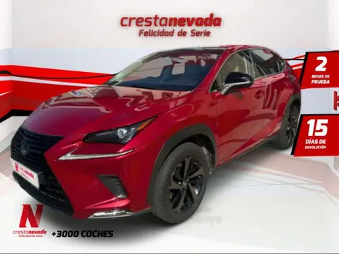 Annonce LEXUS NX Hybride 2019 d'occasion 