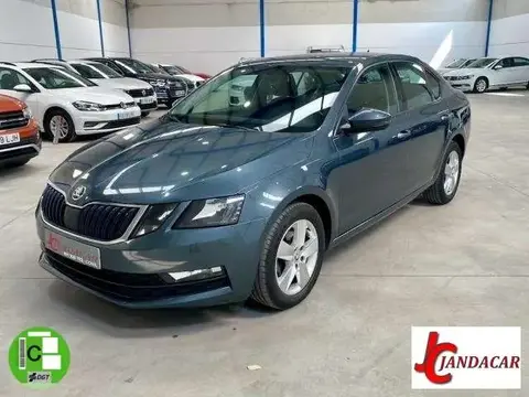 Annonce SKODA OCTAVIA Diesel 2020 d'occasion 