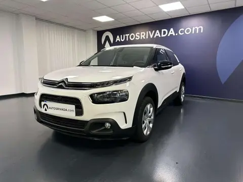 Used CITROEN C4 Diesel 2019 Ad 