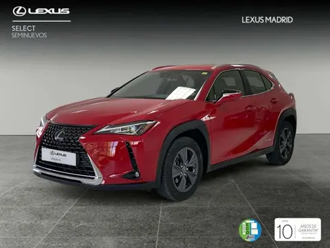 Used LEXUS UX Hybrid 2020 Ad 