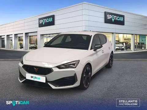 Used CUPRA LEON Petrol 2023 Ad 