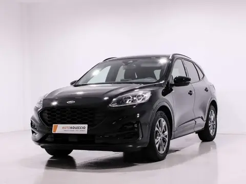 Used FORD KUGA Petrol 2023 Ad 