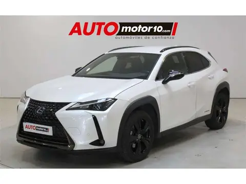 Annonce LEXUS UX Électrique 2021 d'occasion 