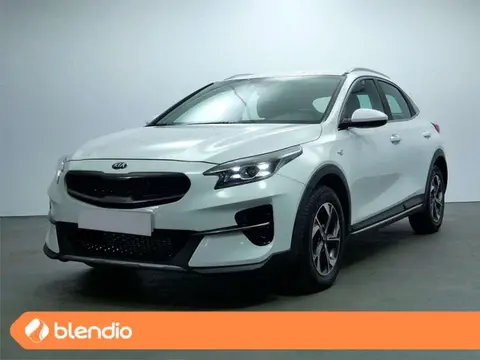 Annonce KIA XCEED Hybride 2024 d'occasion 