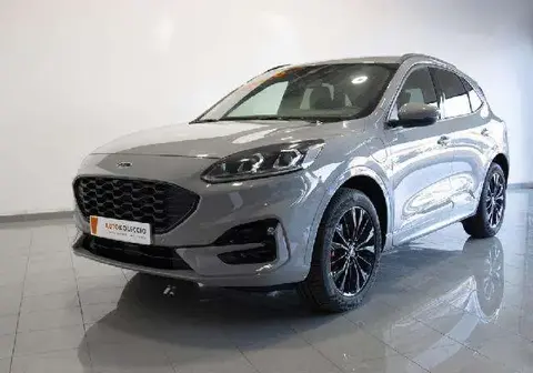 Annonce FORD KUGA Essence 2023 d'occasion 