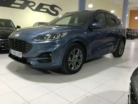 Used FORD KUGA Hybrid 2022 Ad 