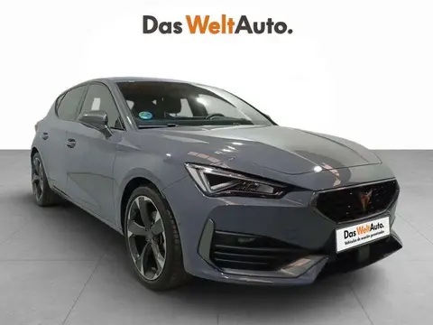 Annonce CUPRA LEON Essence 2024 d'occasion 