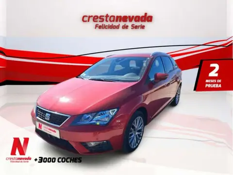 Annonce SEAT LEON Diesel 2020 d'occasion 