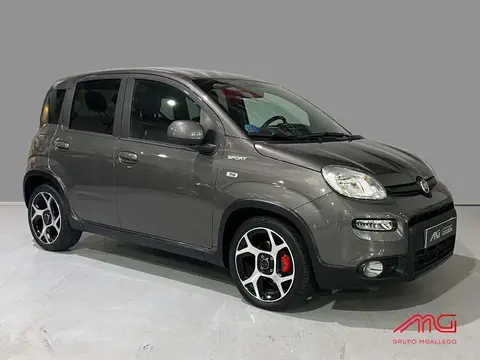 Used FIAT PANDA Petrol 2021 Ad 