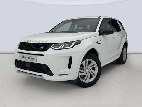 Annonce LAND ROVER DISCOVERY Diesel 2024 d'occasion 