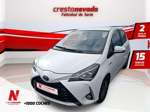 Annonce TOYOTA YARIS Hybride 2019 d'occasion 