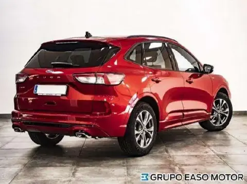 Annonce FORD KUGA Diesel 2023 d'occasion 