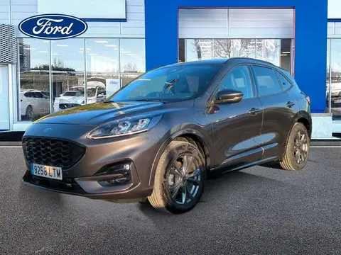 Used FORD KUGA Hybrid 2021 Ad 