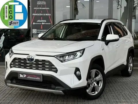 Used TOYOTA RAV4 Hybrid 2019 Ad 