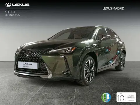 Annonce LEXUS UX Hybride 2024 d'occasion 