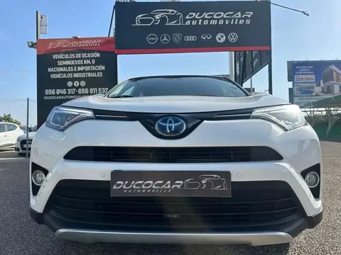 Used TOYOTA RAV4 Hybrid 2018 Ad 