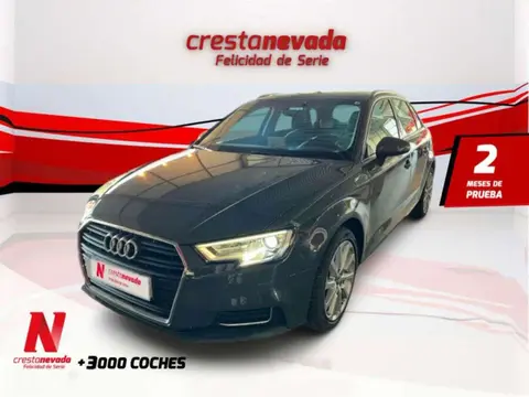 Used AUDI A3 Diesel 2017 Ad 