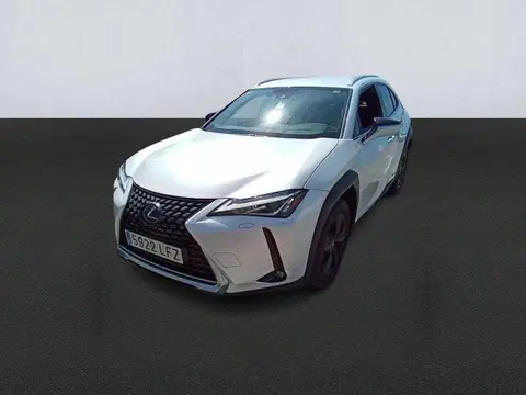 Used LEXUS UX Hybrid 2020 Ad 