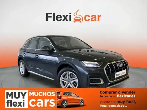 Used AUDI Q5 Hybrid 2021 Ad 