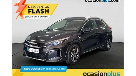 Annonce KIA XCEED Essence 2023 d'occasion 