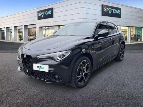 Used ALFA ROMEO STELVIO Diesel 2019 Ad 