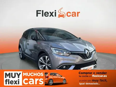 Used RENAULT SCENIC Petrol 2019 Ad 