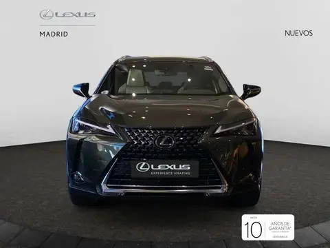 Annonce LEXUS NX Hybride 2024 d'occasion 