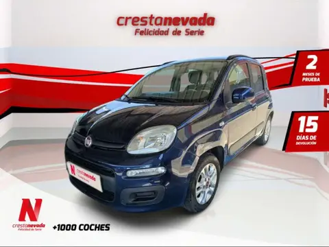 Used FIAT PANDA Petrol 2016 Ad 