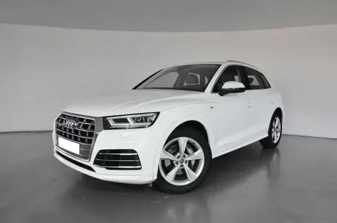 Used AUDI Q5 Diesel 2019 Ad 